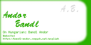 andor bandl business card